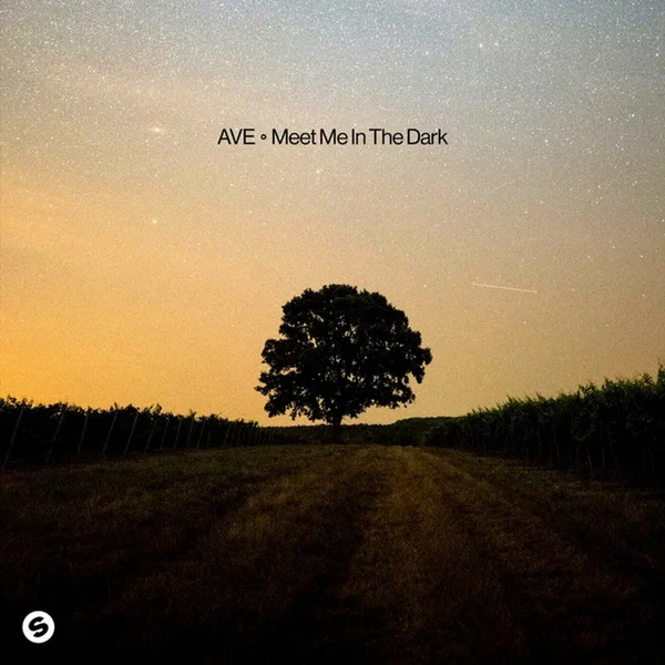 Обложка трека "Meet Me In The Dark - AVE"